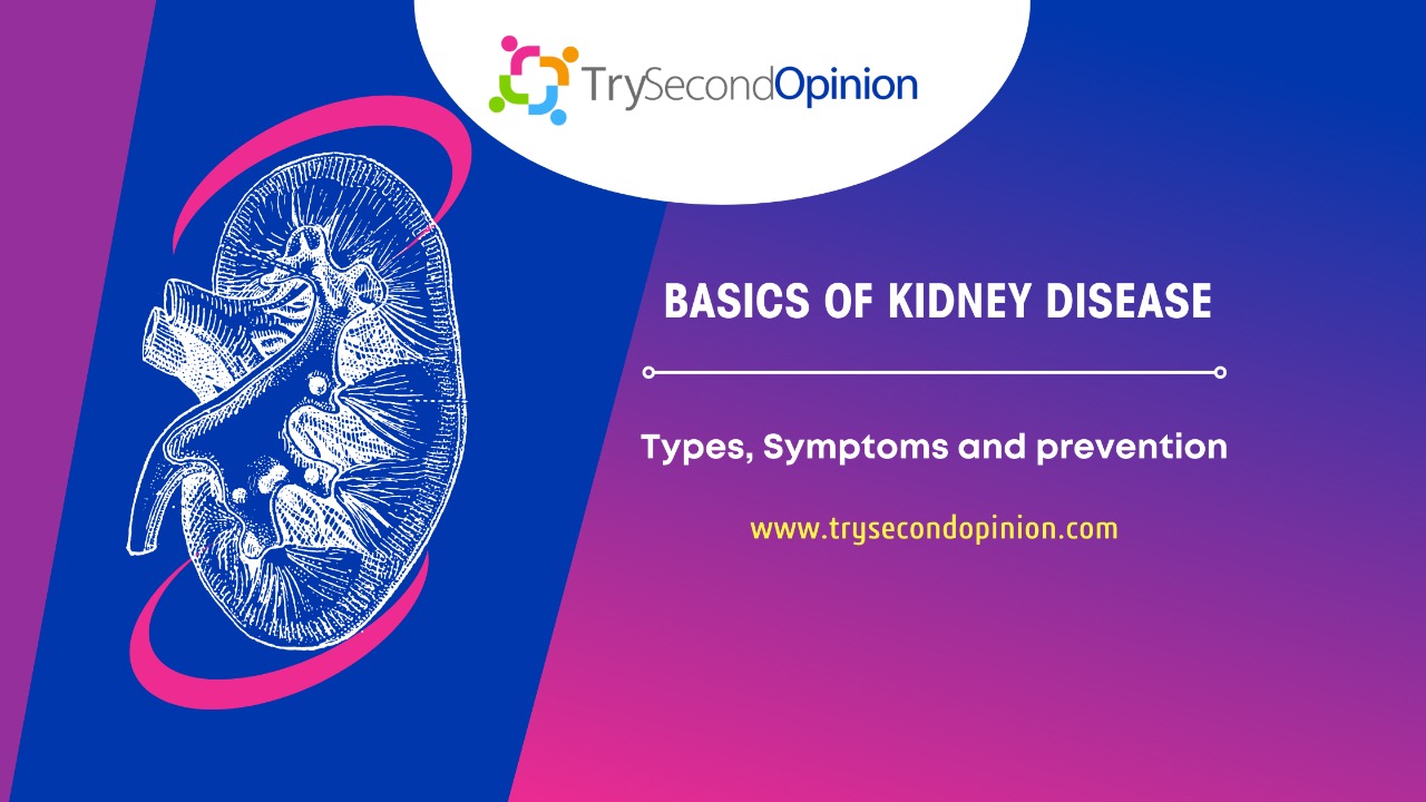 kidney disease, types of kidney disease, symptons of kidney disease, prevention of kidney disease, kidney disease causes, kidney disease prvention, kidney disease types